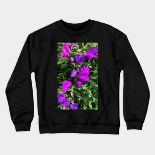 Joy of the Violet Crewneck Sweatshirt